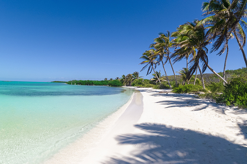 Cancun: Sun, sea and history in one city. Cancun: Where adventure and culture meet.