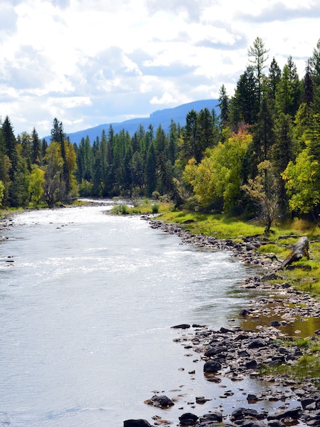 Montana