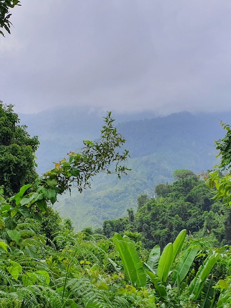 Risaralda